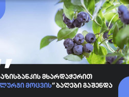 647ede188b974