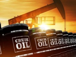 Oil