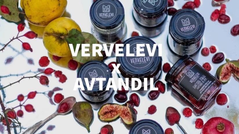 Vervelevi x AVTANDIL